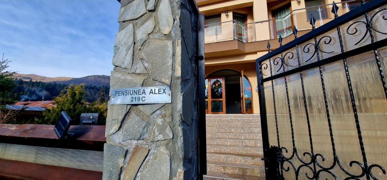 Pensiunea Alex Cheia  Exterior foto